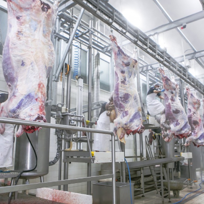 Ergani Et Entegre Tesisi